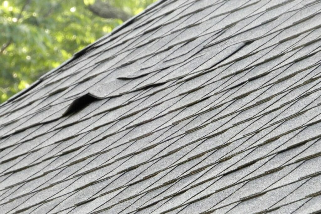 Lifted And Curled Shingles