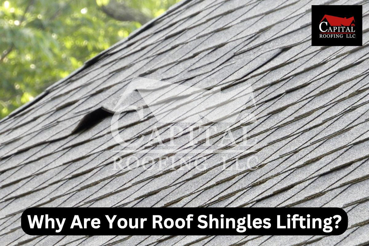 Shingles Lifting