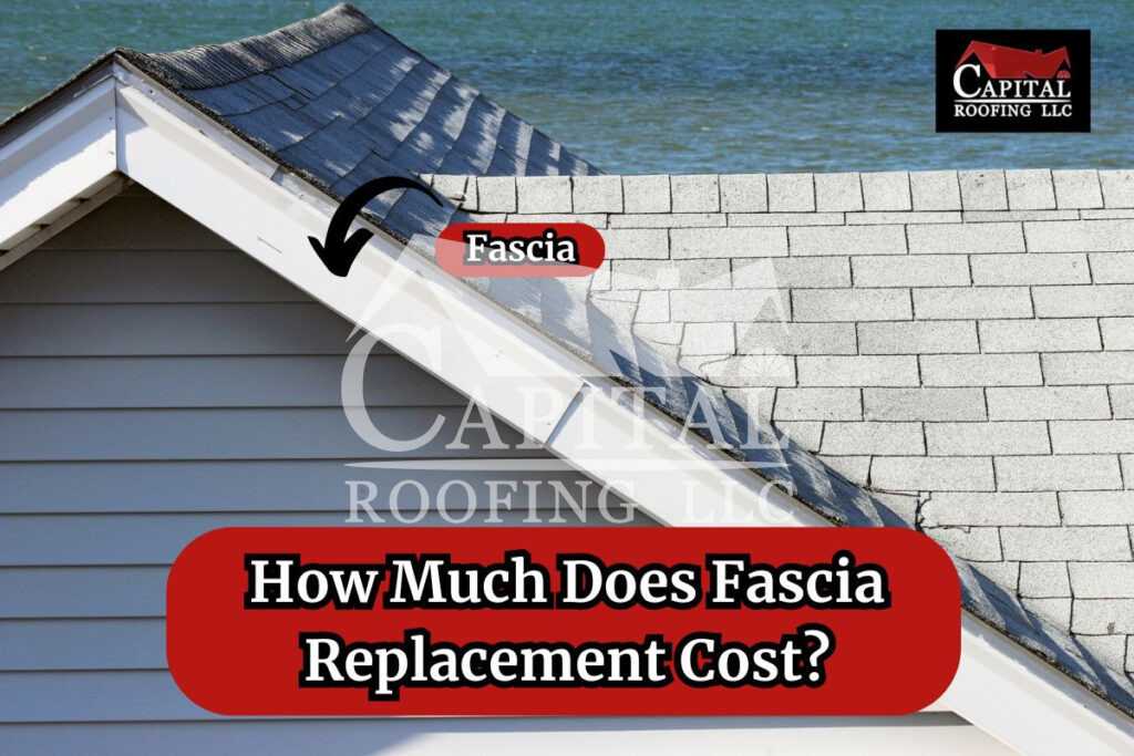 fascia replacement cost